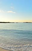 Туры в отель Hotel SeaBreeze Coral Туры в отель Hotel SeaBreeze Coral