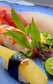 Туры в отель Hotel SeaBreeze Coral Туры в отель Hotel SeaBreeze Coral