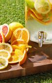Туры в отель Hotel SeaBreeze Coral Туры в отель Hotel SeaBreeze Coral