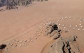 Туры в отель Wadi Rum Bubble Luxotel - Campsite Туры в отель Wadi Rum Bubble Luxotel - Campsite