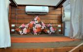 Туры в отель Wadi Rum Bubble Luxotel - Campsite Туры в отель Wadi Rum Bubble Luxotel - Campsite