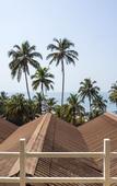 Туры в отель Stone Wood Beach Resort Туры в отель Stone Wood Beach Resort
