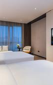 Туры в отель Novotel Xian Xixian Туры в отель Novotel Xian Xixian