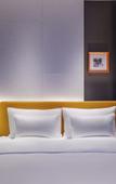 Туры в отель Novotel Xian Xixian Туры в отель Novotel Xian Xixian
