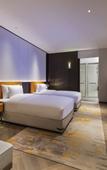 Туры в отель Novotel Xian Xixian Туры в отель Novotel Xian Xixian