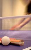 Туры в отель Steigenberger Jinan Fengming Туры в отель Steigenberger Jinan Fengming