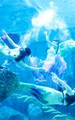 Туры в отель Steigenberger Jinan Fengming Туры в отель Steigenberger Jinan Fengming