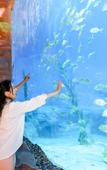 Туры в отель Steigenberger Jinan Fengming Туры в отель Steigenberger Jinan Fengming