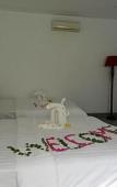 Туры в отель Damina Boutique Hotel Туры в отель Damina Boutique Hotel