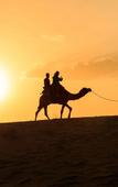 Туры в отель The Mora Sahara Tozeur Туры в отель The Mora Sahara Tozeur