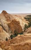 Туры в отель The Mora Sahara Tozeur Туры в отель The Mora Sahara Tozeur