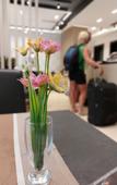 Туры в отель Mulaj Hotel Туры в отель Mulaj Hotel