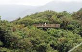 Туры в отель Senda Monteverde Hotel Member of the Cayuga Collection Туры в отель Senda Monteverde Hotel Member of the Cayuga Collection