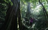 Туры в отель Senda Monteverde Hotel Member of the Cayuga Collection Туры в отель Senda Monteverde Hotel Member of the Cayuga Collection