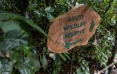 Туры в отель Senda Monteverde Hotel Member of the Cayuga Collection Туры в отель Senda Monteverde Hotel Member of the Cayuga Collection