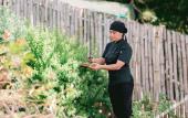 Туры в отель Senda Monteverde Hotel Member of the Cayuga Collection Туры в отель Senda Monteverde Hotel Member of the Cayuga Collection