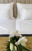Туры в отель Hotel Pasha Туры в отель Hotel Pasha