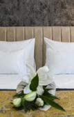 Туры в отель Hotel Pasha Туры в отель Hotel Pasha
