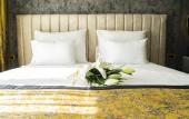 Туры в отель Hotel Pasha Туры в отель Hotel Pasha