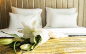 Туры в отель Hotel Pasha Туры в отель Hotel Pasha