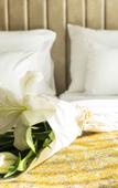 Туры в отель Hotel Pasha Туры в отель Hotel Pasha