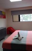 Туры в отель Hotel Piet Туры в отель Hotel Piet