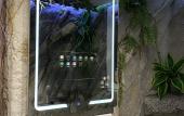 Туры в отель Futurotel Spa Garden Туры в отель Futurotel Spa Garden