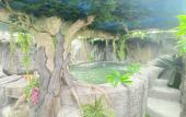 Туры в отель Futurotel Spa Garden Туры в отель Futurotel Spa Garden