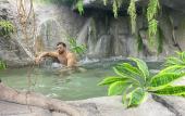 Туры в отель Futurotel Spa Garden Туры в отель Futurotel Spa Garden