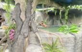 Туры в отель Futurotel Spa Garden Туры в отель Futurotel Spa Garden
