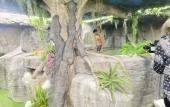 Туры в отель Futurotel Spa Garden Туры в отель Futurotel Spa Garden