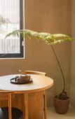 Туры в отель Jiangnan House Nantou Туры в отель Jiangnan House Nantou