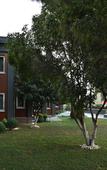 Туры в отель Denizati Plus Hotel Туры в отель Denizati Plus Hotel