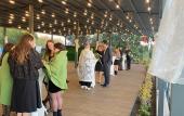 Туры в отель Denizati Plus Hotel Туры в отель Denizati Plus Hotel