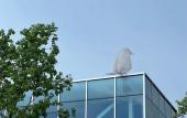 Туры в отель Hampton by Hilton Hangzhou Liangzhu Туры в отель Hampton by Hilton Hangzhou Liangzhu