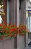 Туры в отель Hotel Tandem - Boutique Hotel Туры в отель Hotel Tandem - Boutique Hotel