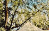Туры в отель The Survival by Seudam Туры в отель The Survival by Seudam