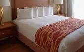 Туры в отель Rodeway Inn South Miami Coral Gables Туры в отель Rodeway Inn South Miami Coral Gables