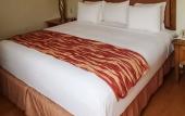 Туры в отель Rodeway Inn South Miami Coral Gables Туры в отель Rodeway Inn South Miami Coral Gables