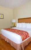 Туры в отель Rodeway Inn South Miami Coral Gables Туры в отель Rodeway Inn South Miami Coral Gables