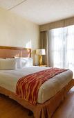 Туры в отель Rodeway Inn South Miami Coral Gables Туры в отель Rodeway Inn South Miami Coral Gables