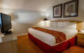 Туры в отель Rodeway Inn South Miami Coral Gables Туры в отель Rodeway Inn South Miami Coral Gables