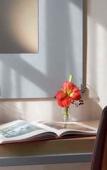 Туры в отель Hotel Rosalie Туры в отель Hotel Rosalie
