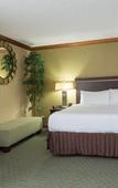Туры в отель Doubletree by Hilton Fort Myers at Bell Tower Shops Туры в отель Doubletree by Hilton Fort Myers at Bell Tower Shops