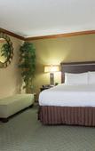 Туры в отель Doubletree by Hilton Fort Myers at Bell Tower Shops Туры в отель Doubletree by Hilton Fort Myers at Bell Tower Shops
