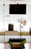 Туры в отель Paraiso Suites by Charlie Туры в отель Paraiso Suites by Charlie