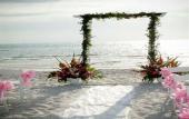 Туры в отель Inn at Pelican Bay Туры в отель Inn at Pelican Bay
