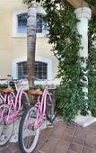 Туры в отель Inn at Pelican Bay Туры в отель Inn at Pelican Bay