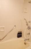 Туры в отель Rose Hotel Yokohama Туры в отель Rose Hotel Yokohama