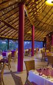 Туры в отель Grand Palladium Vallarta Resort & Spa - All Inclusive Туры в отель Grand Palladium Vallarta Resort & Spa - All Inclusive